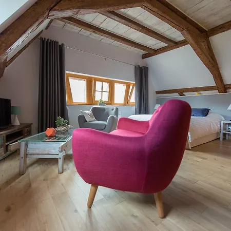 La Maison D'emilie 4* Pfaffenheim