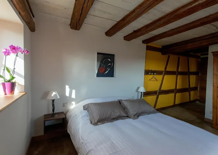 La Maison D'emilie Casa de hóspedes Pfaffenheim